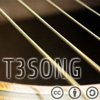 T3SONG